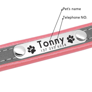pink personalized leather dog collar with phone number
