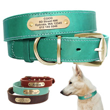Load image into Gallery viewer, leather dog collar with name plate