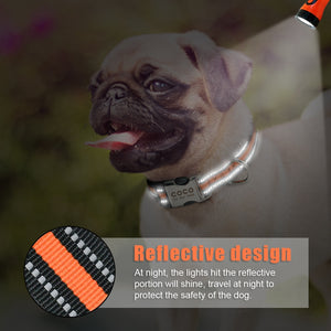 custom reflective dog collar