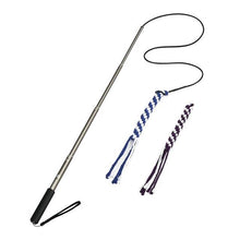 Load image into Gallery viewer, flirt pole toy for dogs