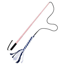 Load image into Gallery viewer, flirt pole interactive dog toy