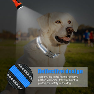 reflective custom dog collar