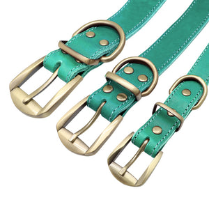 leather dog collar with metal buckle