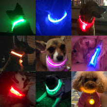 Load image into Gallery viewer, best rechargeable led dog collar