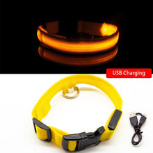 Load image into Gallery viewer, yellow light up dog collar