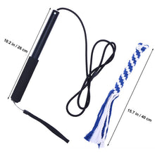 Load image into Gallery viewer, best flirt pole dog toy