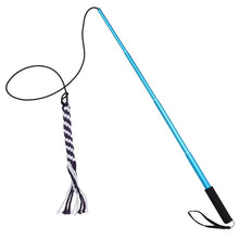 Load image into Gallery viewer, flirt pole toy for dogs