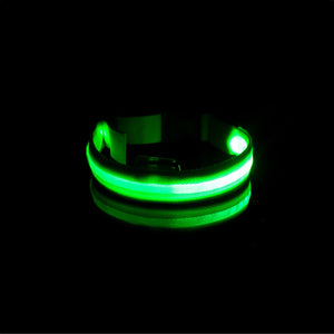 green rechargeable led dog collar