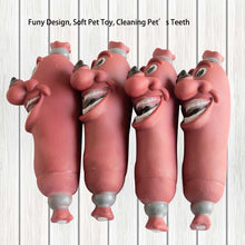 Load image into Gallery viewer, funny teeth cleaning dog toy