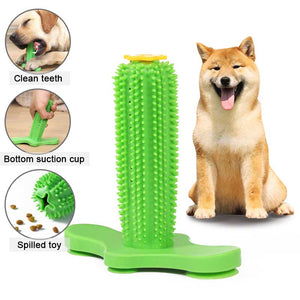 best teeth cleaning dog toy