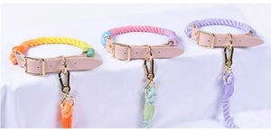 best dog collar leash set