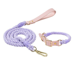 purple color leather collar leash set