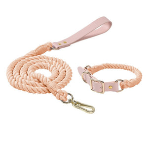 dog leather collar leash set