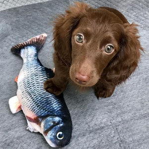 floppy fish interactive dog toy