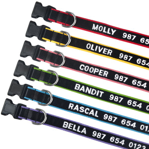 personalized dog collar embroidered details