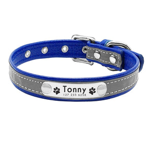 personalized leather dog collar with nameplate