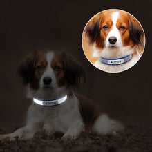 Load image into Gallery viewer, cute reflective personalized leather dog collar
