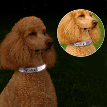 Load image into Gallery viewer, cute reflective leather dog collar