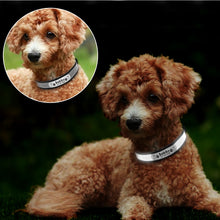 Load image into Gallery viewer, cute personalized leather dog collar