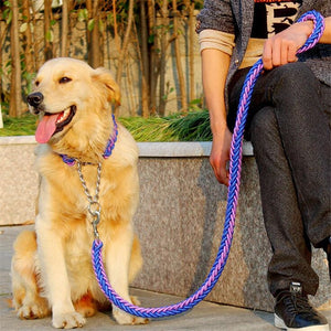 large dog collar leash set