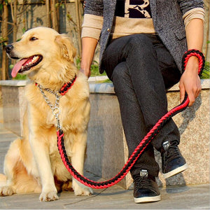 collar leash set for big dogs