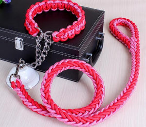 cheap dog collar leash set for large dogs