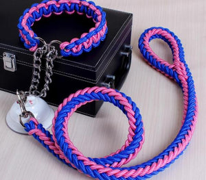 cool big dog collar leash