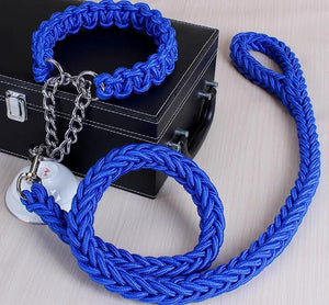 blue large dog collar leash