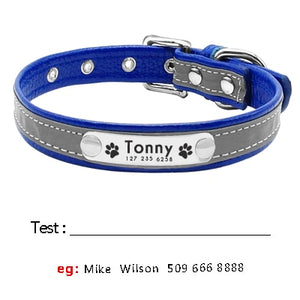 personalized leather dog collar with name plate