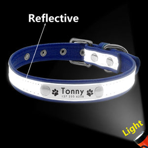 blue reflective leather dog collar