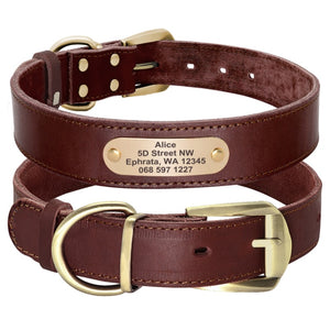 leather personalized dog collar with name plate