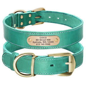 personalized leather dog collar with name plate
