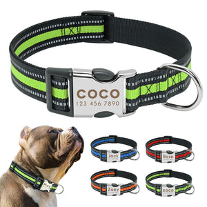 personalized dog collars
