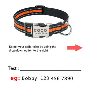 custom made dog collars