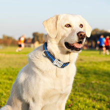 Load image into Gallery viewer, nylone reflective personalized custom dog collars