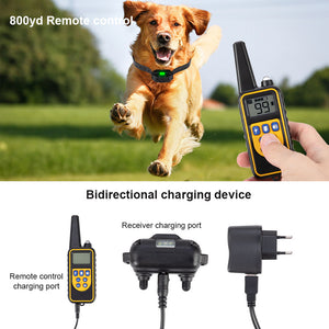best dog training collar with remote