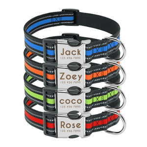 custom dog collars