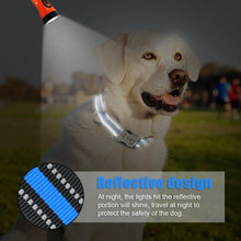 Load image into Gallery viewer, reflective custom dog collar