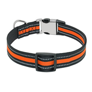 best custom dog collars