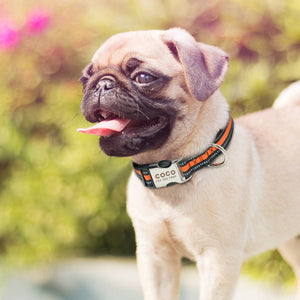 nylone reflective personalized dog collars