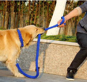 best durable large dog collar leash set