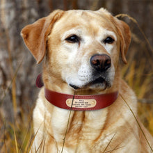 Load image into Gallery viewer, leather personalized dog collar