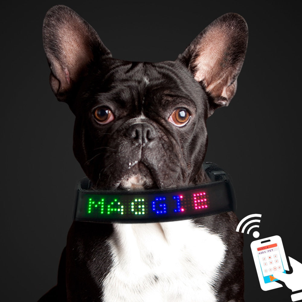 app control led dog collar