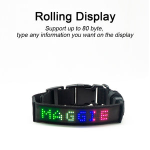 App Control Anti-lost LED Dog Collar