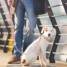 Load image into Gallery viewer, dog collar leash set