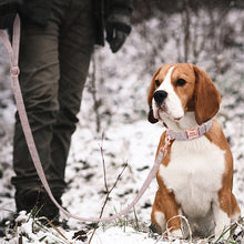 Load image into Gallery viewer, personalized custom dog collar leash set