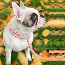 Load image into Gallery viewer, best personalized dog collar leash set with nameplate