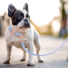 Load image into Gallery viewer, personalized custom dog collar leash set with nametag