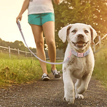 Load image into Gallery viewer, best personalized custom dog collar leash set with nametag