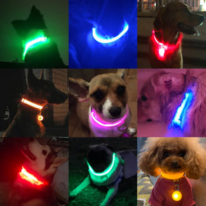 best rechargeable led dog collar